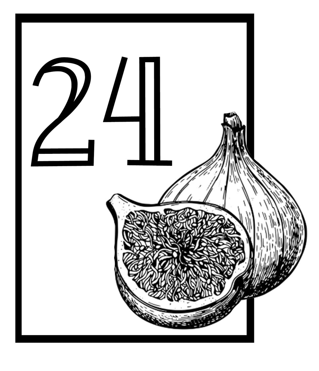 24 Figs