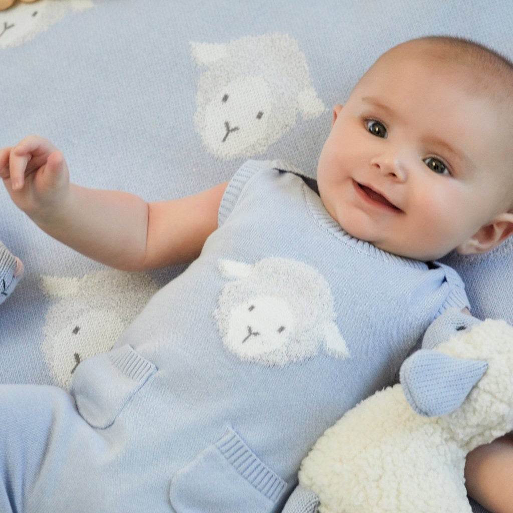 Shortall Lamb Blue