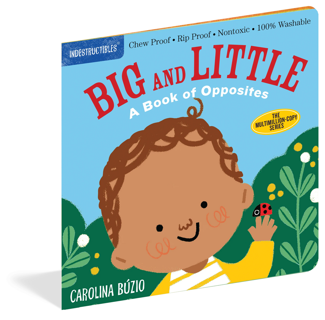 Big and Little Indestructibles Book