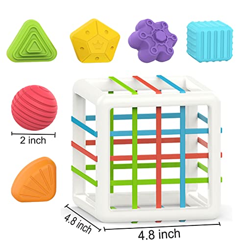 shape sorting